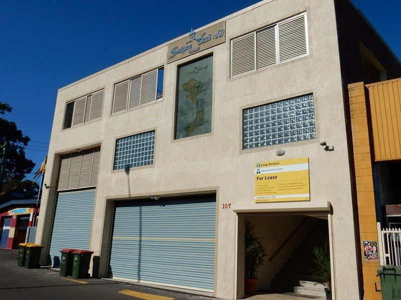107 Cabramatta Road, Cabramatta NSW 2166