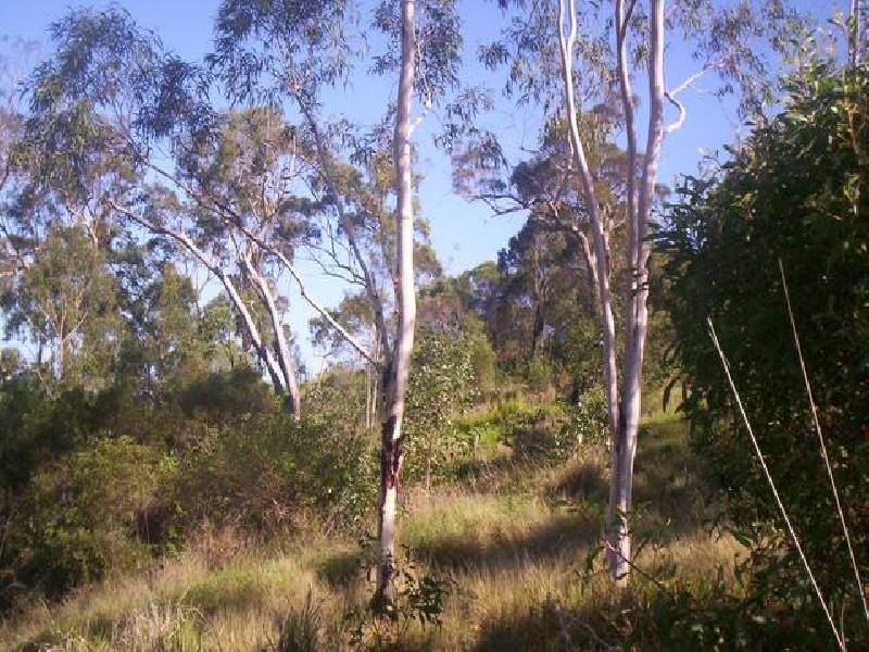 Agnes Water QLD 4677