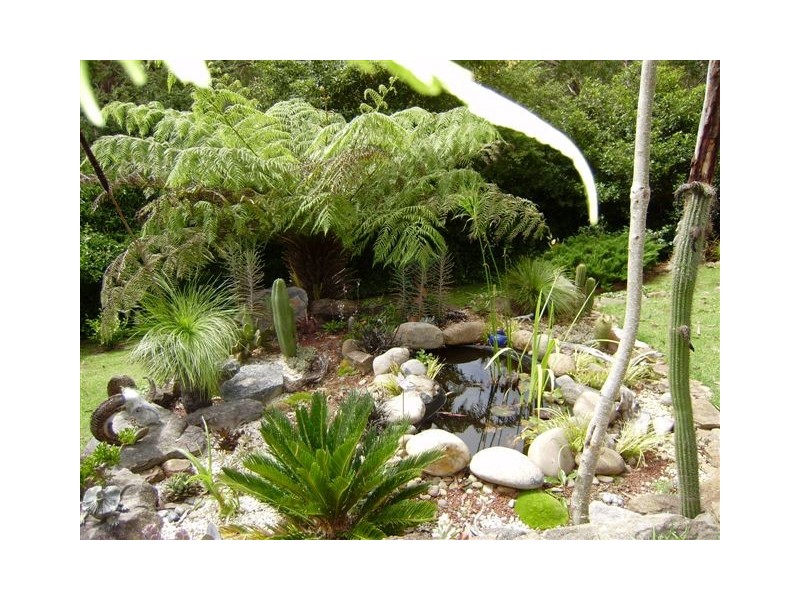 97 Mount View Avenue, Hazelbrook NSW 2779