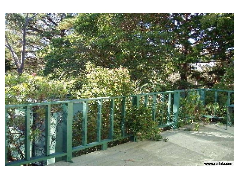 20 Hazelbrook, Hazelbrook NSW 2779