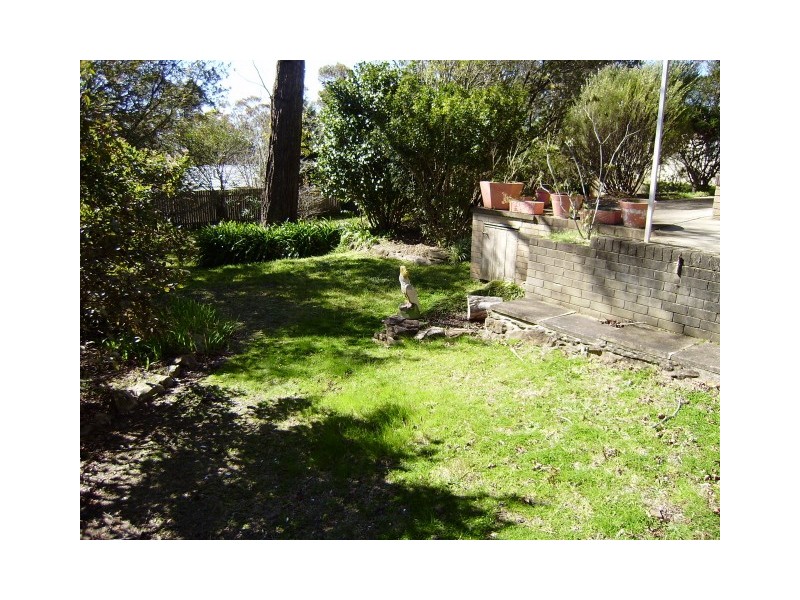 48 Falcon Street, Hazelbrook NSW 2779