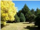 199 Campbells River Road, Black Springs NSW 2787