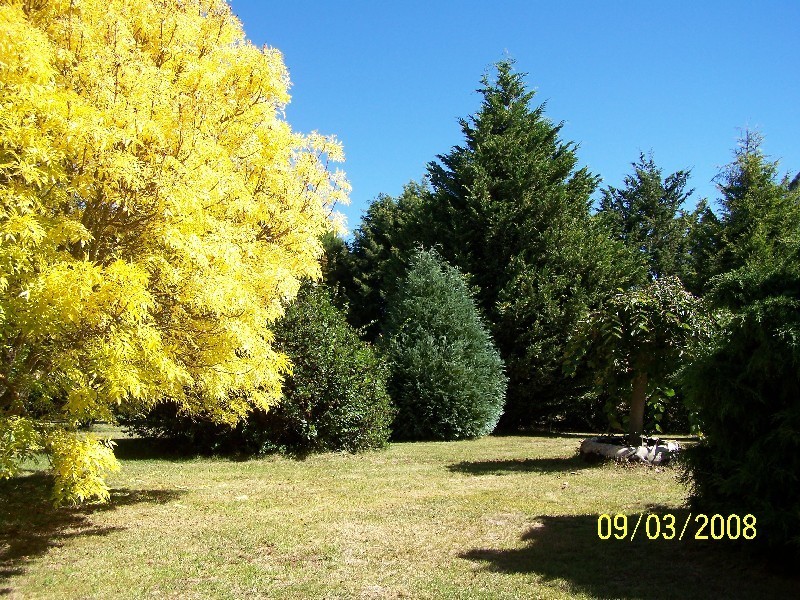 199 Campbells River Road, Black Springs NSW 2787