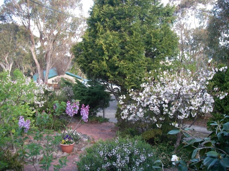 6 Vista Ave, Lawson NSW 2783