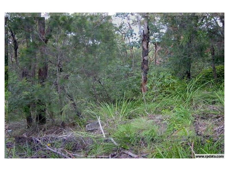 127 Winbourne Road, Hazelbrook NSW 2779