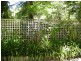 Hazelbrook NSW 2779