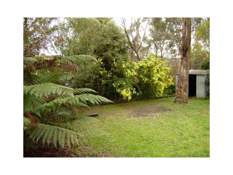 Hazelbrook NSW 2779