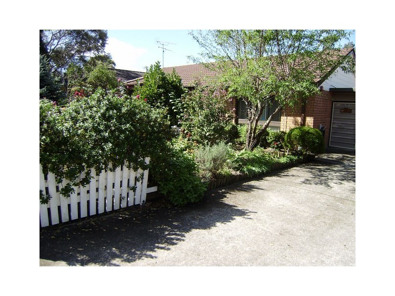 43 Red gum ave, Hazelbrook NSW 2779