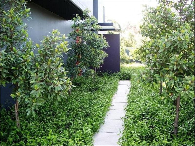 4/5-7 Marlborough Rd, Willoughby NSW 2068