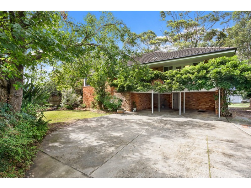 6 Pira Place, Forestville NSW 2087