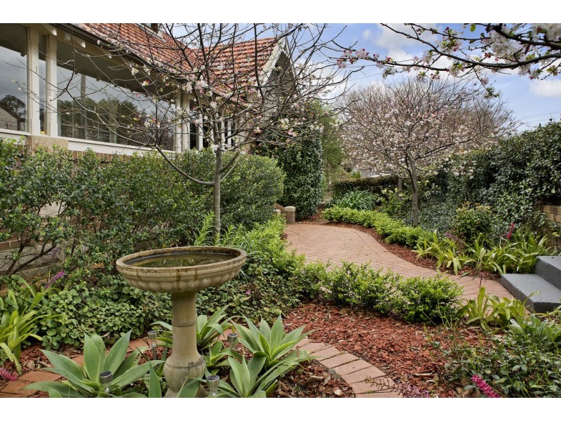 45 Laurel Street, Willoughby NSW 2068