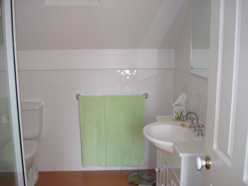 13 Plunkett Street, Naremburn NSW 2065