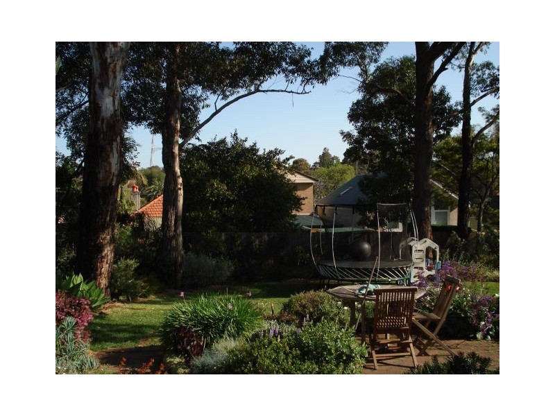 22 Penkivil Street, Willoughby NSW 2068