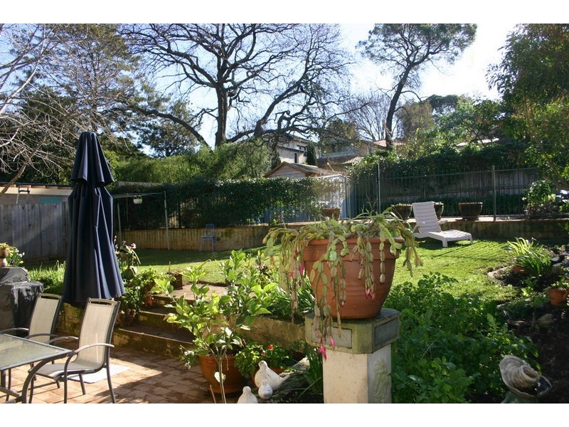 1 Nardoo Street, Willoughby NSW 2068