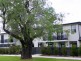 11-23-25 Garland Rd, Naremburn NSW 2065