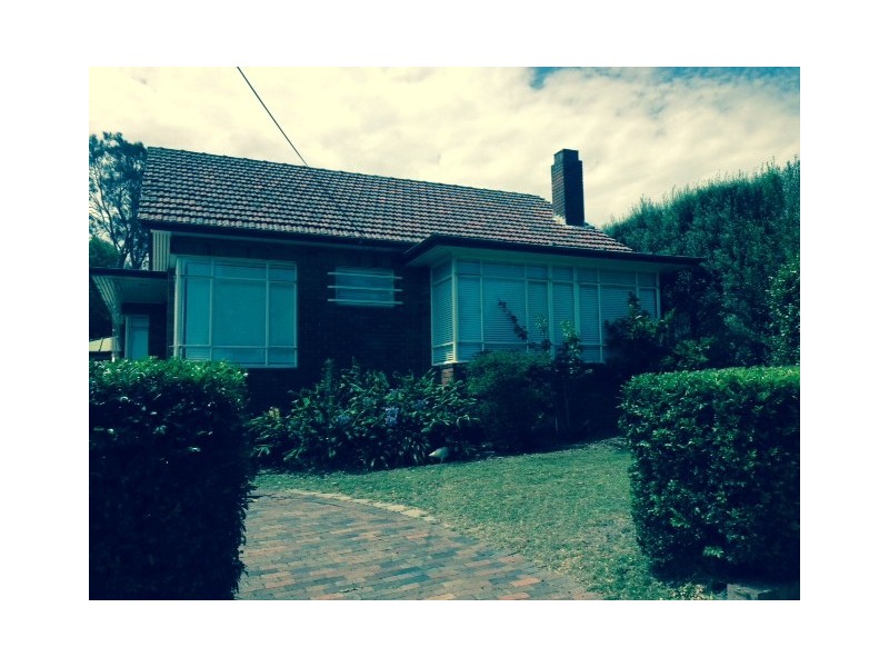 41 Wyalong Street, Willoughby NSW 2068