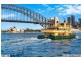 1207/2  Dind Steet, Milsons Point NSW 2061