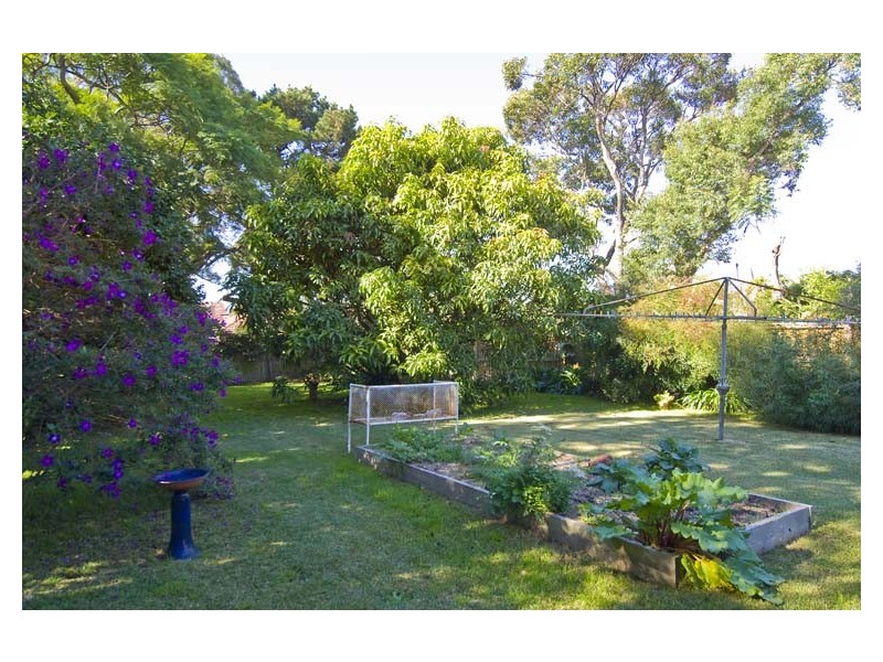 21 Chiltern Road, Willoughby NSW 2068