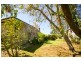 16 Salisbury Road, Willoughby NSW 2068