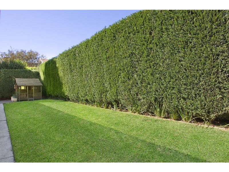 143A High Street, Willoughby NSW 2068