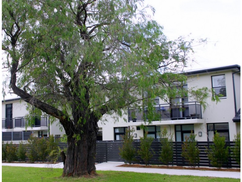 5/23-25 Garland Road, Naremburn NSW 2065