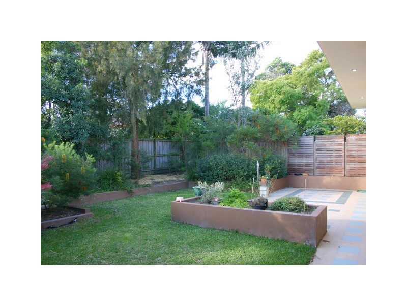 49 Cobar Street, Willoughby NSW 2068