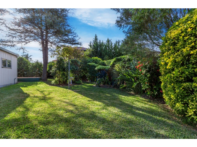 11 Laurel Street, Willoughby NSW 2068