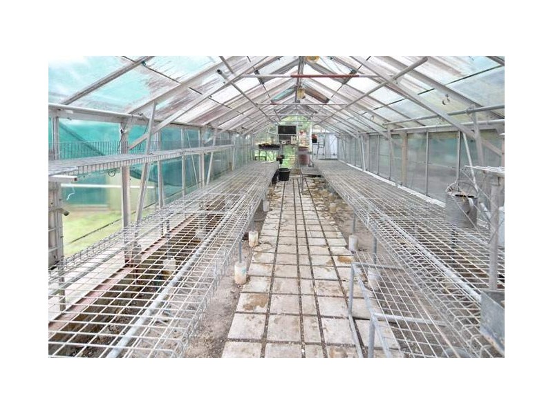 52 The Esplanade, Frenchs Forest NSW 2086