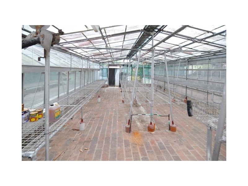 52 The Esplanade, Frenchs Forest NSW 2086