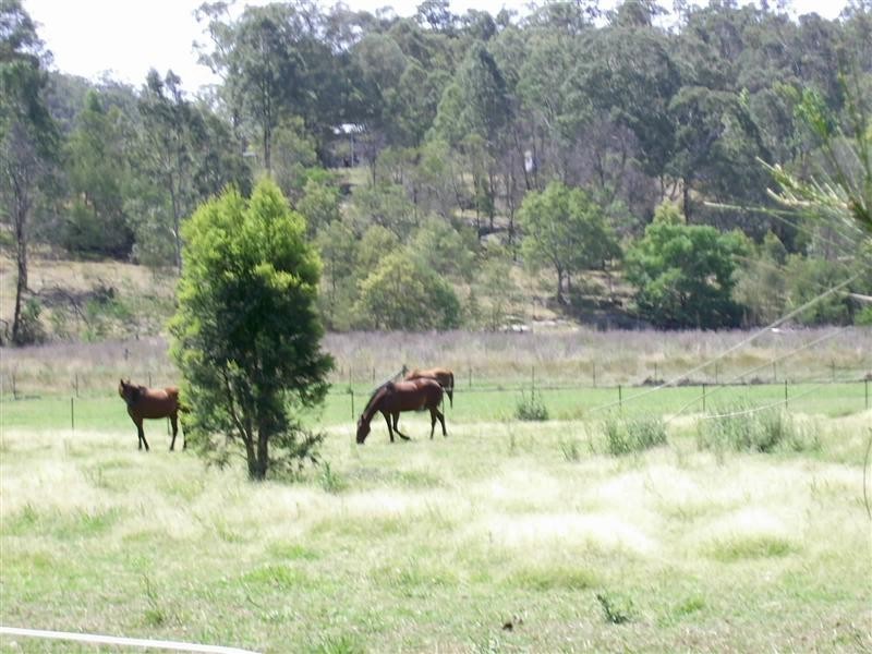 73 Jones Road, Lower Portland NSW 2756