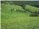 7365 Oxley Highway, Yarras NSW 2446