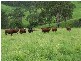 7365 Oxley Highway, Yarras NSW 2446