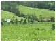 7365 Oxley Highway, Yarras NSW 2446