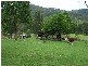 7365 Oxley Highway, Yarras NSW 2446