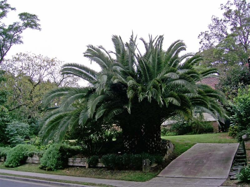 12 The Terrace, Windsor NSW 2756