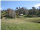 Lower Portland NSW 2756
