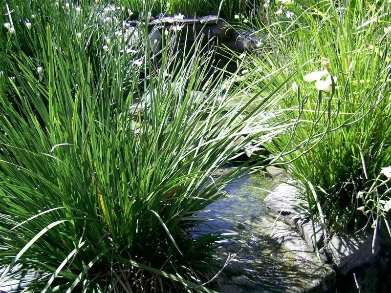 26 Cobcroft Road, Wilberforce NSW 2756