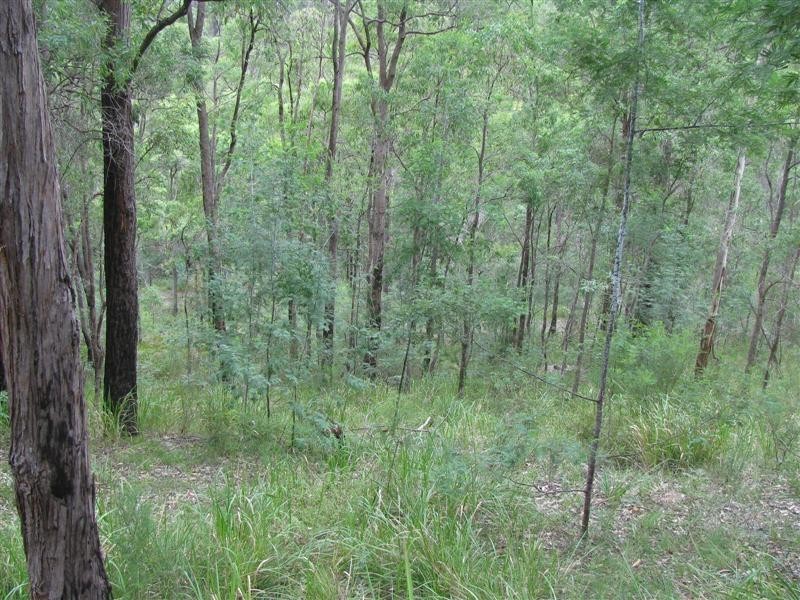 1339 Wollombi Road, St Albans NSW 2775