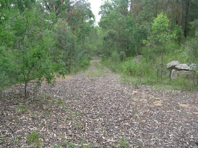 1339 Wollombi Road, St Albans NSW 2775