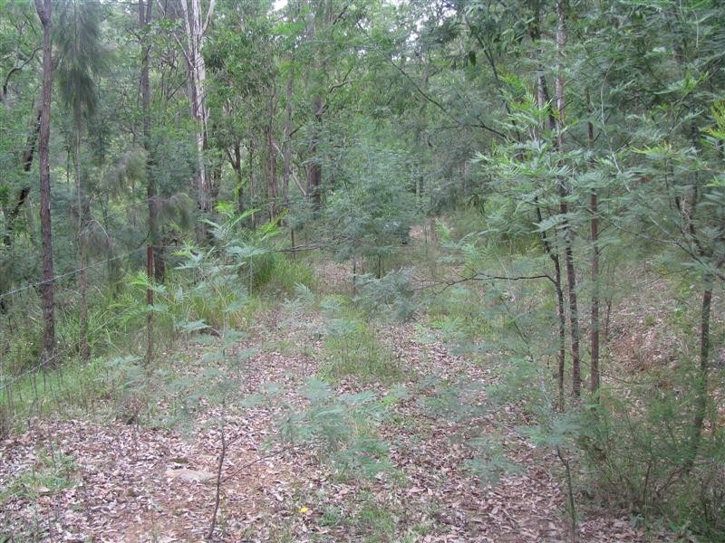 1339 Wollombi Road, St Albans NSW 2775