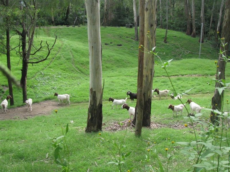 370 Lower Colo Road, Lower Portland NSW 2756