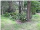 370 Lower Colo Road, Lower Portland NSW 2756
