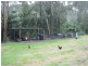 370 Lower Colo Road, Lower Portland NSW 2756