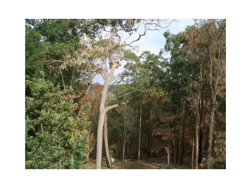 611 West Portland Road, Lower Portland NSW 2756