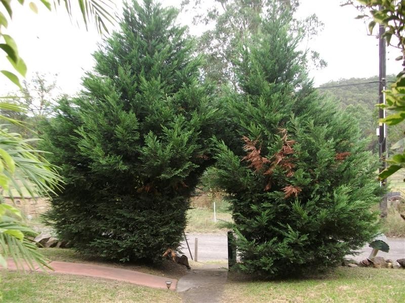 1901 Wheelbarrow Ridge Road, Lower Portland NSW 2756