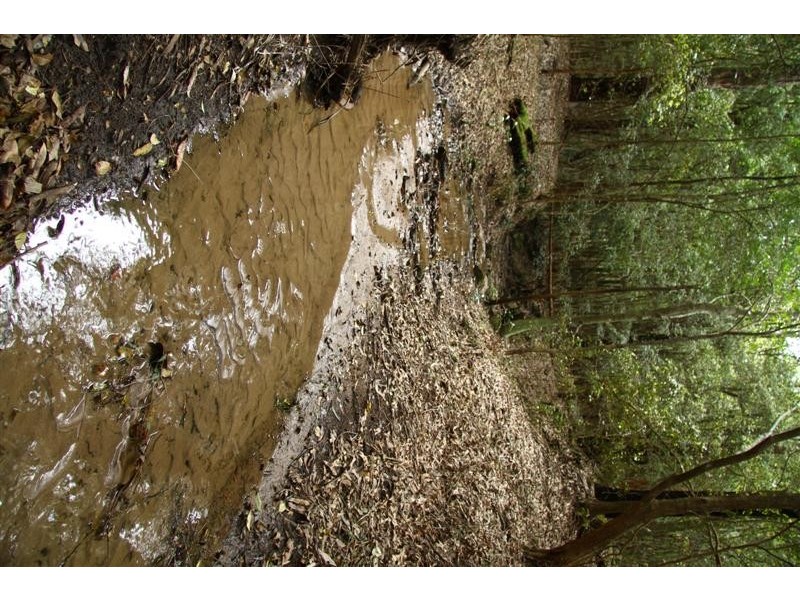 639 Greens Road, Lower Portland NSW 2756