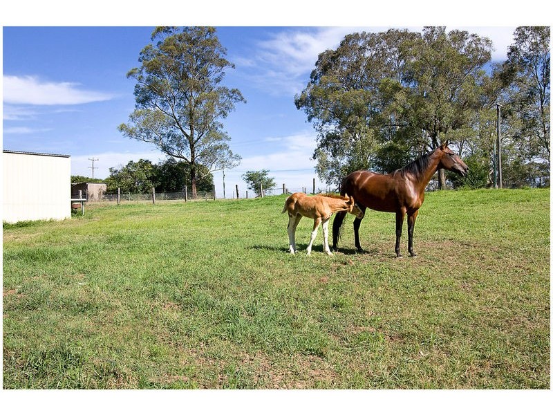 63 Carrs Road, Wilberforce NSW 2756