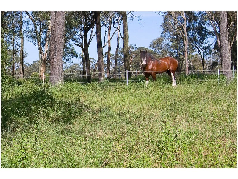 63 Carrs Road, Wilberforce NSW 2756