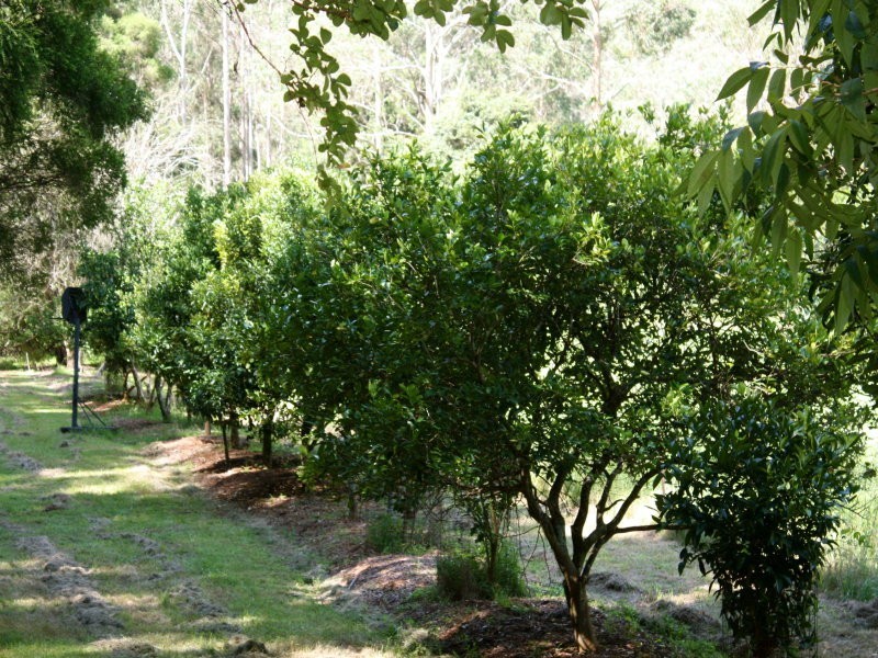 2120C Singleton Road, Colo NSW 2756