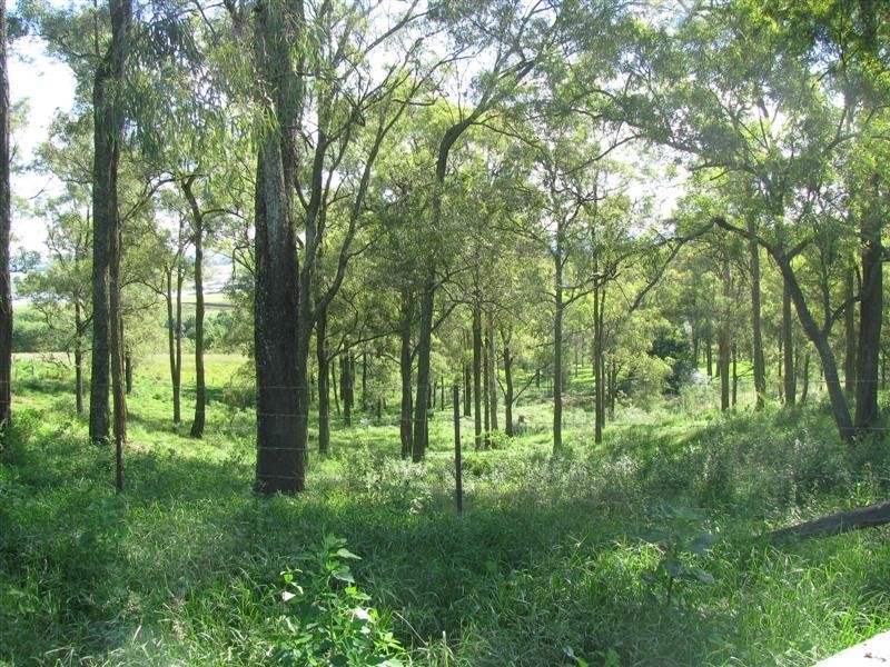 81 Kurmond Road, Wilberforce NSW 2756